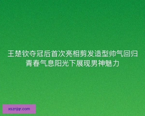 王楚钦夺冠后首次亮相剪发造型帅气回归青春气息阳光下展现男神魅力
